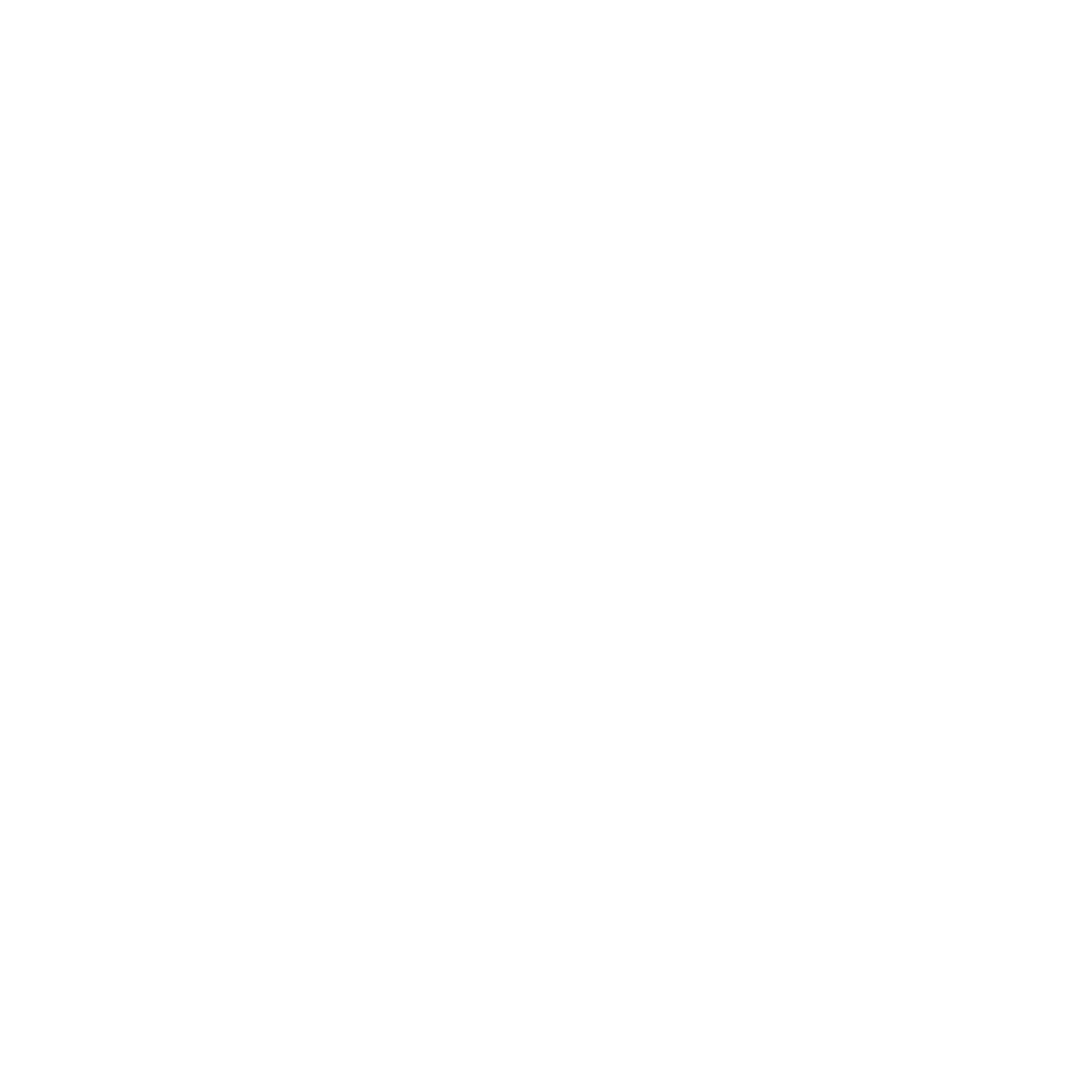 کالج دانشگاه بیرجند آکادمی 